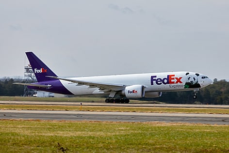 Un 777F della FedEx  per trasportare un panda gigante in Cina