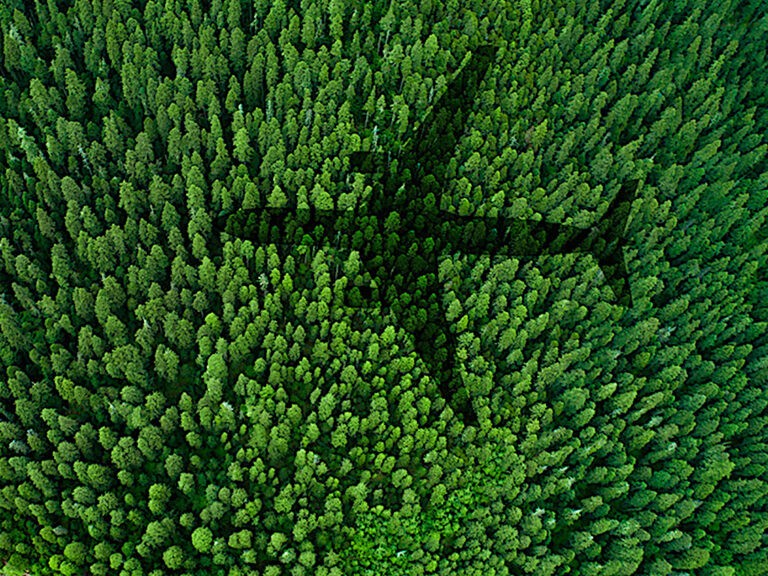 American Airlines pubblica il Sustainability Report 2022