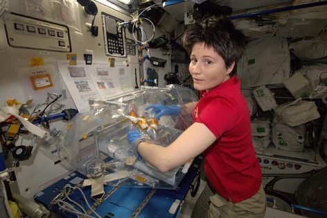 Samantha Cristoforetti, completati due esperimenti a bordo della Stazione Spaziale Internazionale