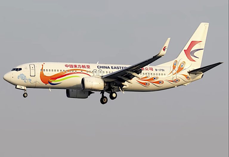 La tragedia del volo China Eastern Airlines MU5735: sarebbe stato un gesto intenzionale