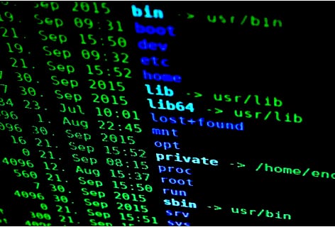 Cyberterrorismo: 412.447 spazi web monitorati, 2 arresti e 8 denunce (Agenzia Dire)