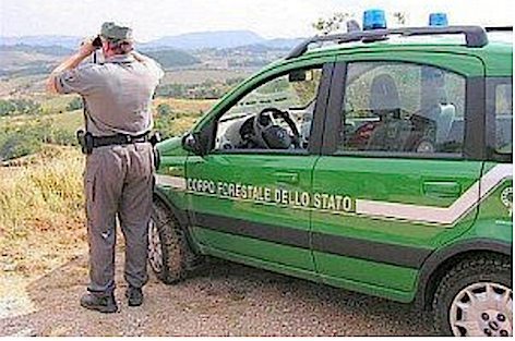 PA, Corpo Forestale assorbito dai Carabinieri (Agenzia DIRE.it)