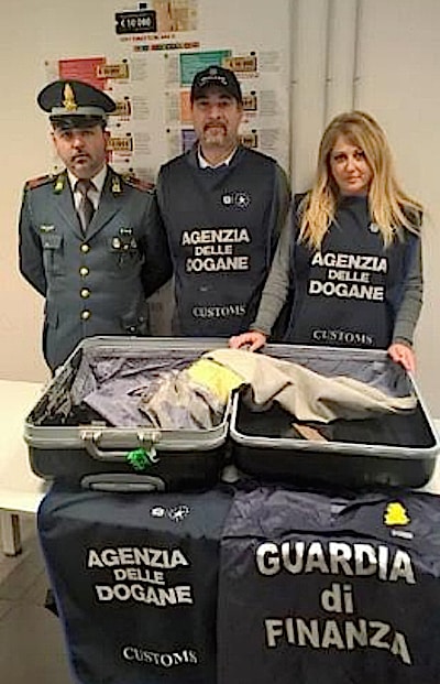 dogane-gdf-seq-ss-malpensa-20161229